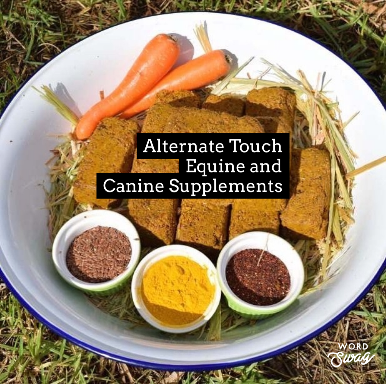 Easy to feed supplements for horses that actually work!